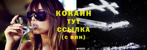 ешки Новозыбков
