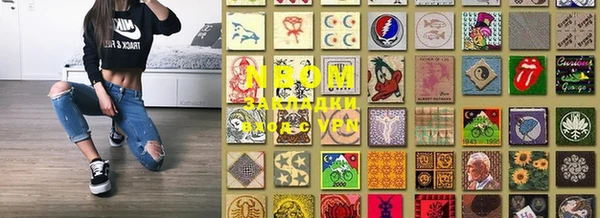 крисы Новокубанск