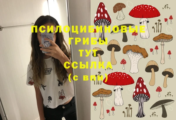 крисы Новокубанск