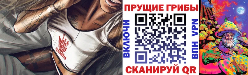 Купить закладки  Сергач  Псилоцибиновые грибы MAGIC MUSHROOMS 